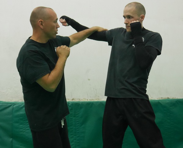Kung Fu Snake Block Strike