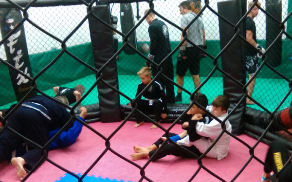 Brazilian Jiu Jitsu and Kick Boxing